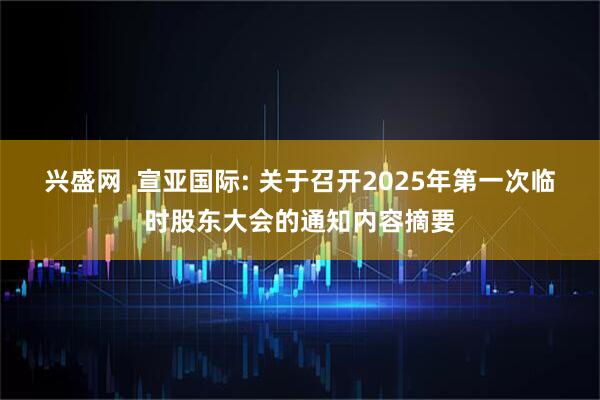 兴盛网  宣亚国际: 关于召开2025年第一次临时股东大会的通知内容摘要