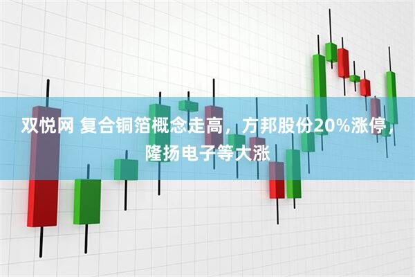 双悦网 复合铜箔概念走高，方邦股份20%涨停，隆扬电子等大涨