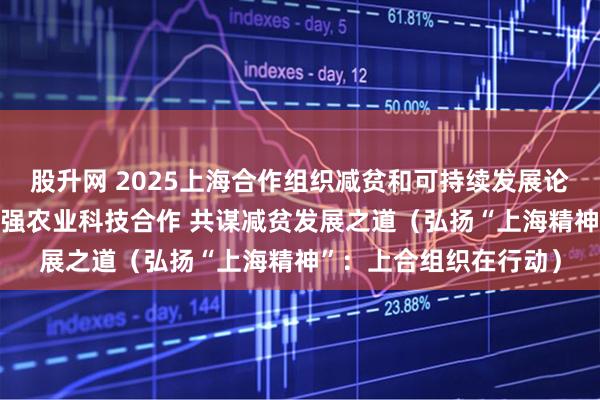 股升网 2025上海合作组织减贫和可持续发展论坛杨凌分论坛举行 加强农业科技合作 共谋减贫发展之道（弘扬“上海精神”：上合组织在行动）