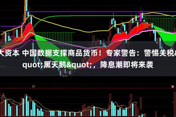 大资本 中国数据支撑商品货币！专家警告：警惕关税"黑天鹅"，降息潮即将来袭
