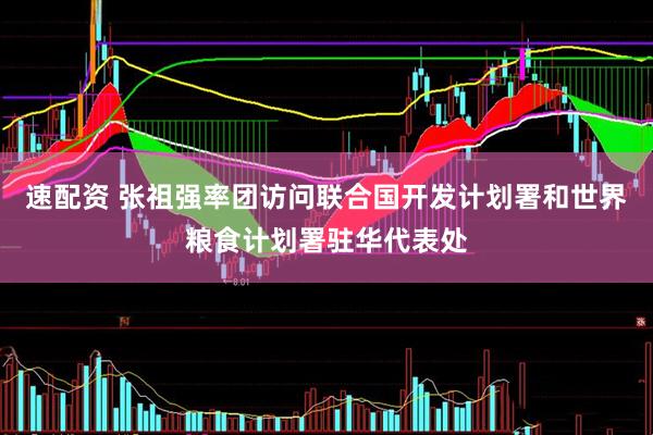 速配资 张祖强率团访问联合国开发计划署和世界粮食计划署驻华代表处
